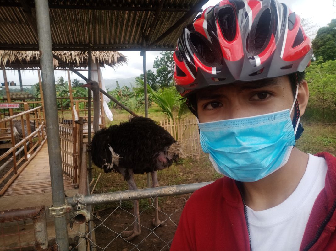 Ostrich Farm Inapoy