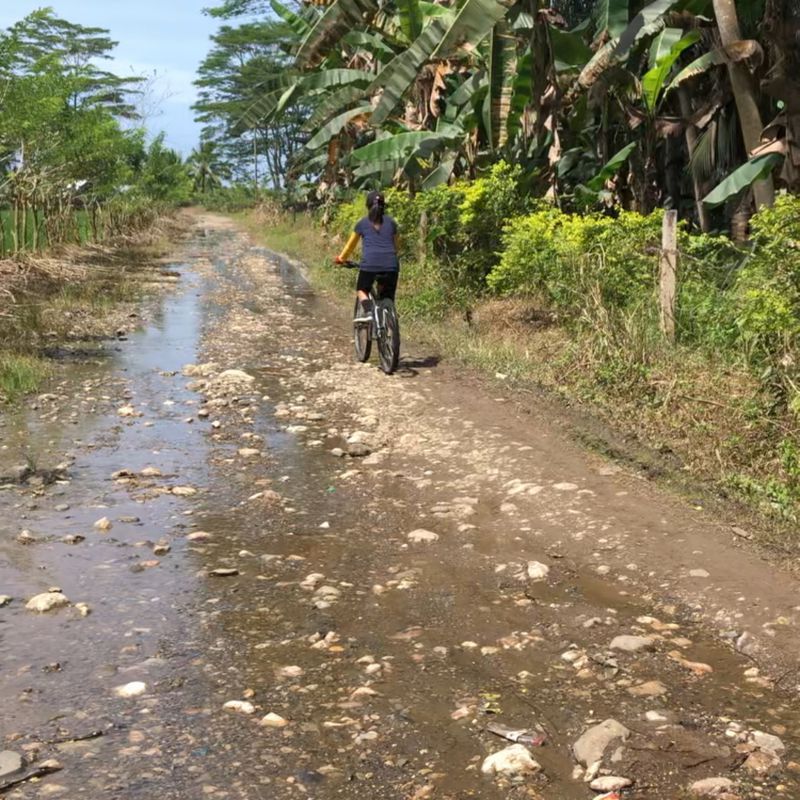 Splash Ride 1.31.2021