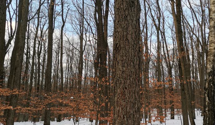 Photo 2 of the Bikemap route "Herbowa 29, Łódź do Herbowa 29, Łódź" Photo 2 of the Bikemap route "Herbowa 29, Łódź do Herbowa 29, Łódź"