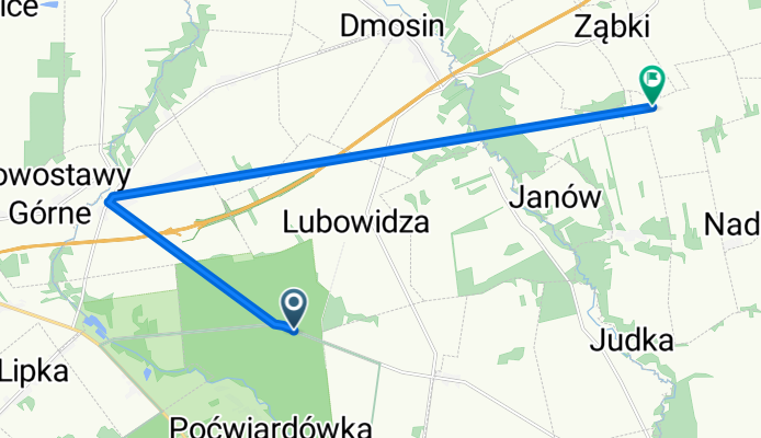 Trasa do Kraszew Wielki 4, Dmosin