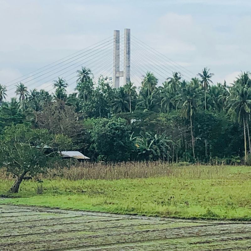 Macapagal (old) Bridge 2.2.21