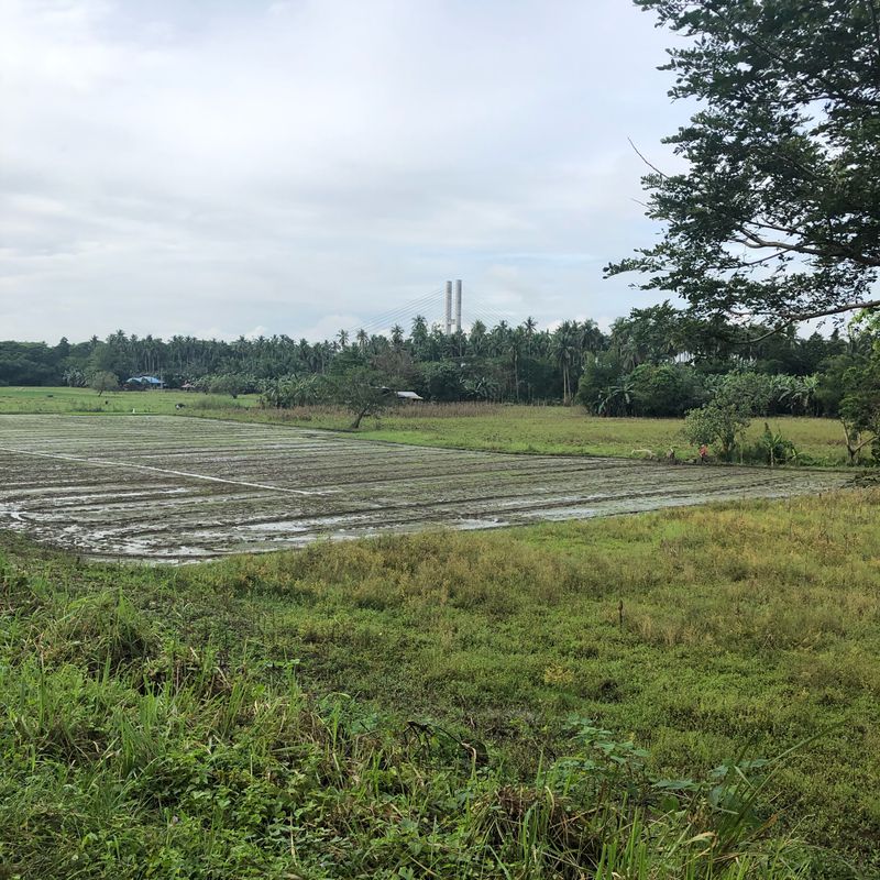 Macapagal (old) Bridge 2.2.21