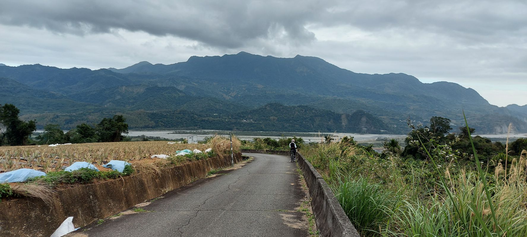 110.02.05台東-寒舍-山里-鹿野高台
