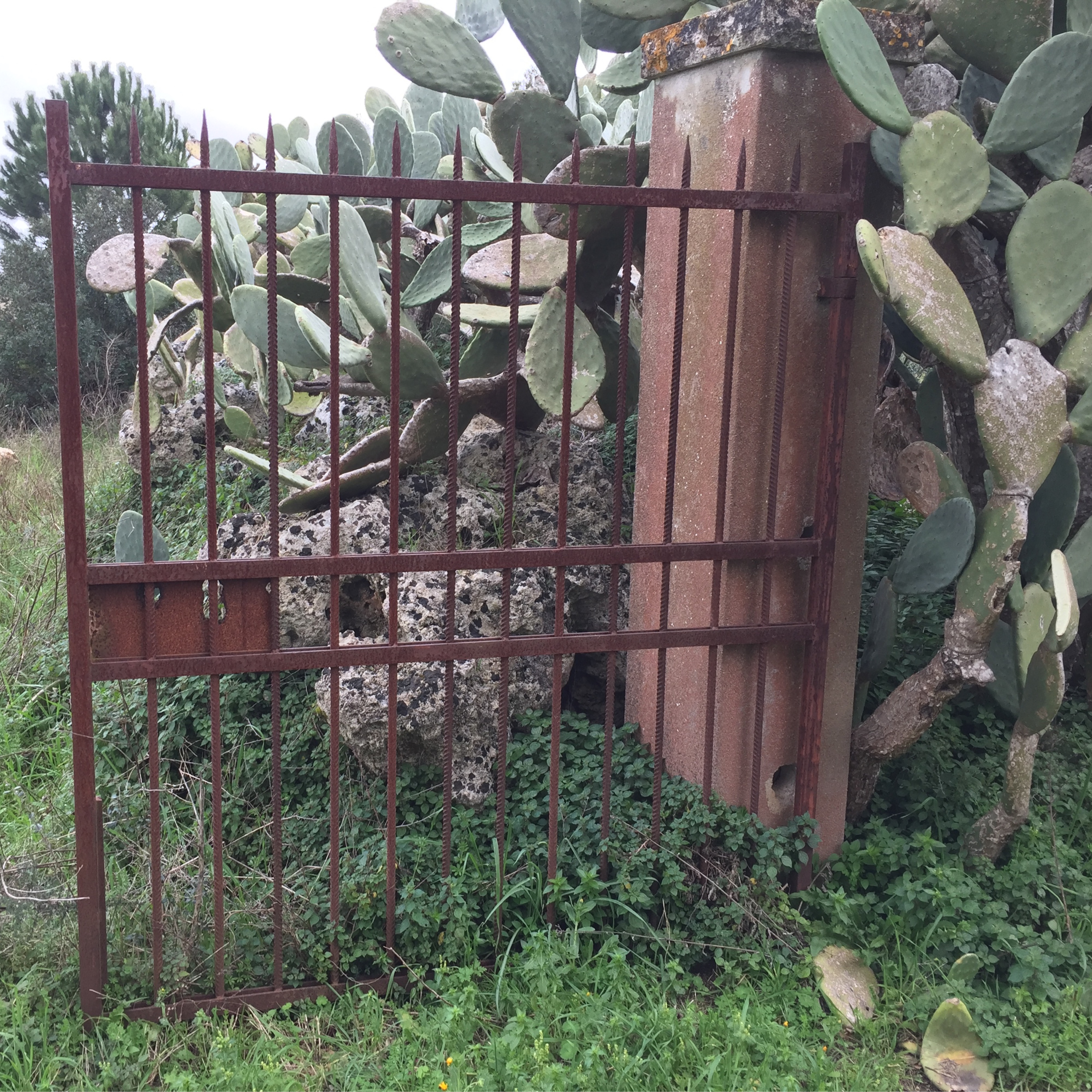 Da Via Verdi, Carpignano Salentino a Via Bellini 14, Carpignano Salentino