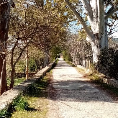 POI Photo 3: Goodbike Mallorca