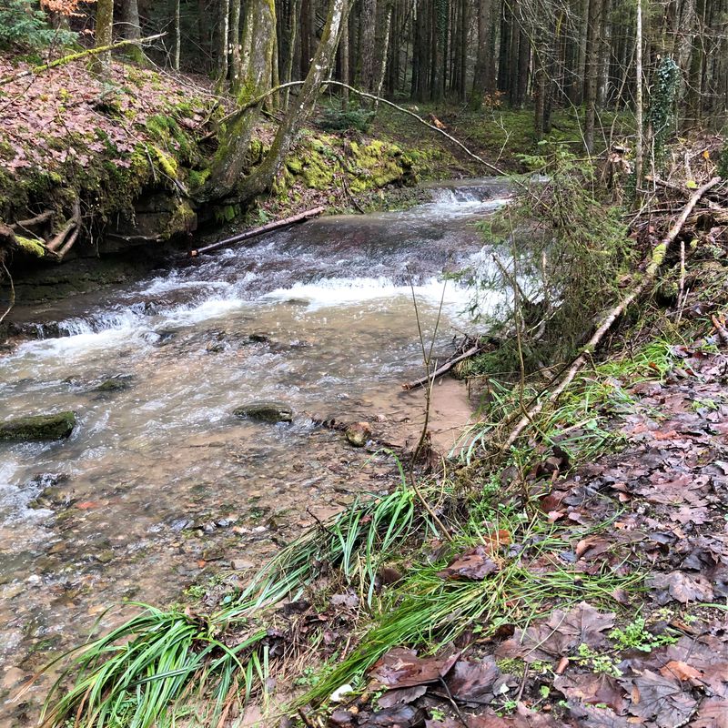 Sulzbach/Murr Fischbachtal nach Murrhardt