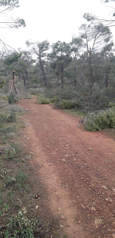 la vereda y cierras