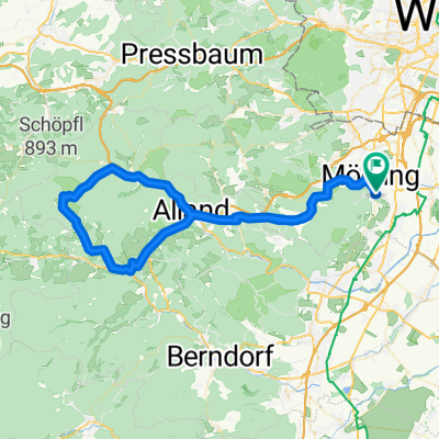 Wienerwald streke B