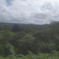 De Calle 32 # 80-15, Medellín a Calle 32 # 80-15, Medellín