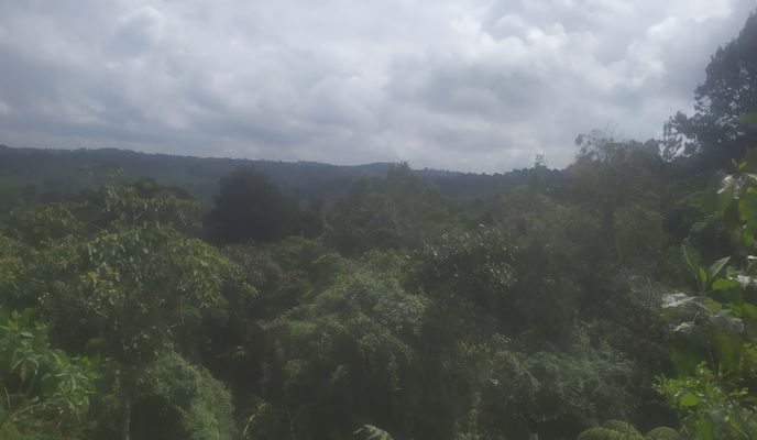 Foto 1 der Bikemap-Route "De Calle 32 # 80-15, Medellín a Calle 32 # 80-15, Medellín" Foto 1 der Bikemap-Route "De Calle 32 # 80-15, Medellín a Calle 32 # 80-15, Medellín"