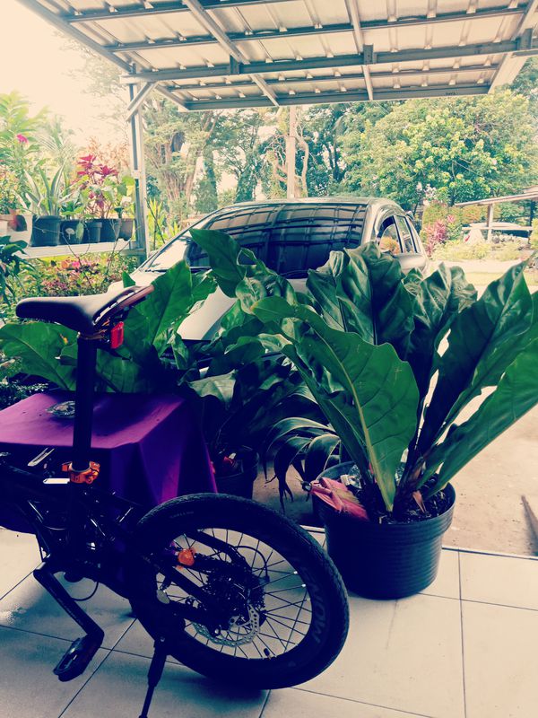 Jalan Kartini 27, Kecamatan Bukit Kecil to Jalan Puncak Sekuning 377, Kecamatan Ilir Barat I