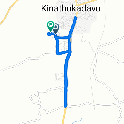 morning trip