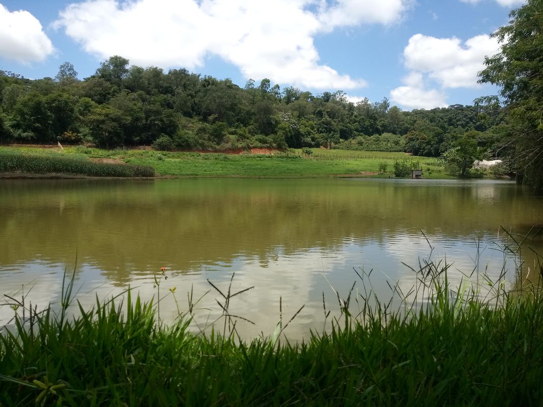 centro-silvestre-fundão-ufv-centro