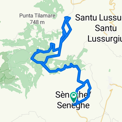 eliches uttiosos da seneghe