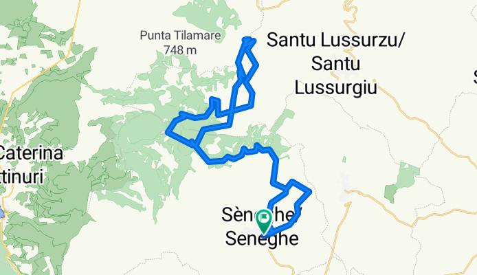 elighes uttiosos da seneghe 2