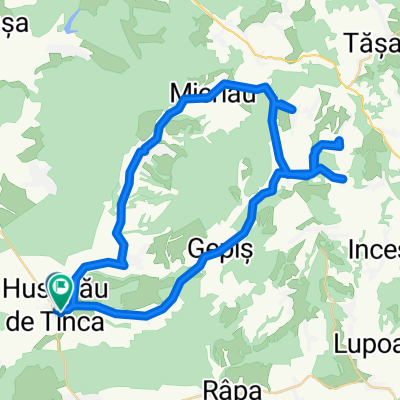 Husau de Tinca