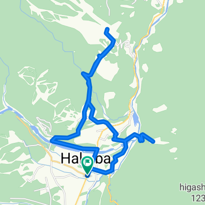 Tsugaike Scenic Route with Various Blooms