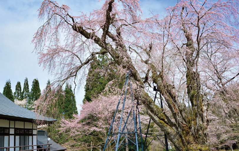 Hakuba's Best Scenic Spots Route