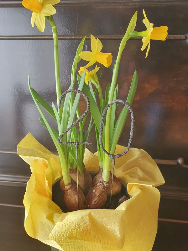 Joseph-Fraunhofer-Straße 63, Pfaffenhofen an der Ilm nach Pfaffenhofen an der Ilm