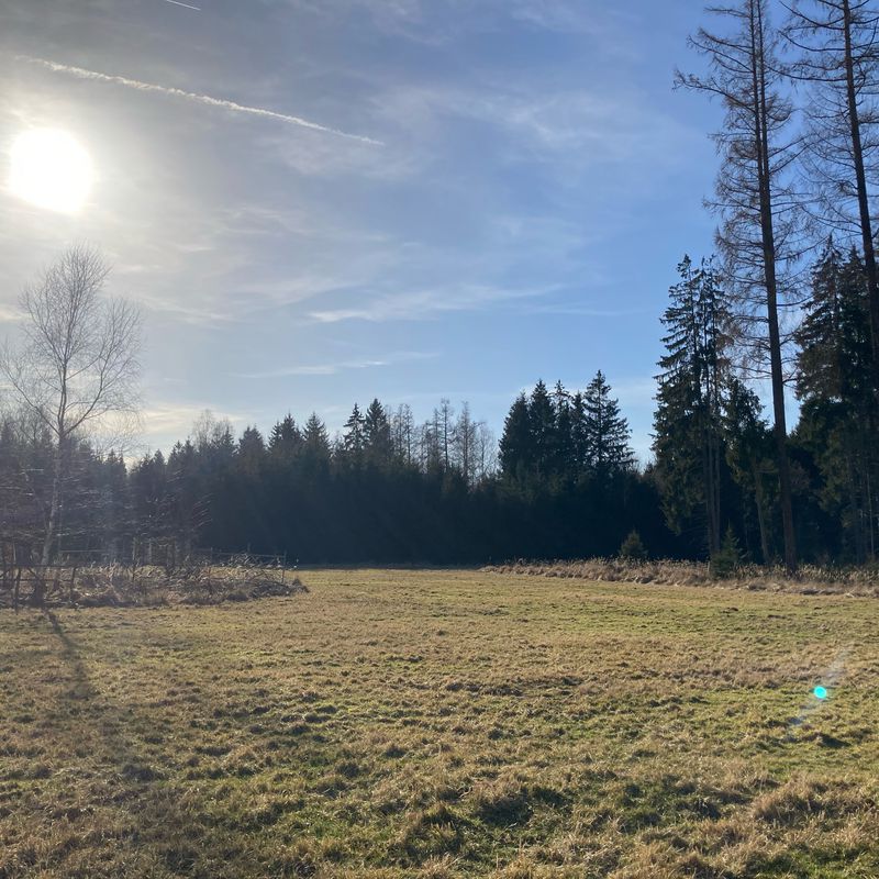 Route nach Albert-Roßhaupter-Straße 72, München