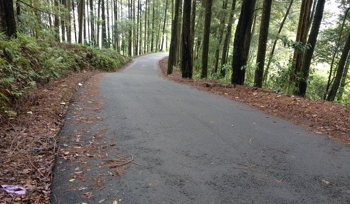 Foto 2 del percorso Bikemap "Panorama Pabangbon"