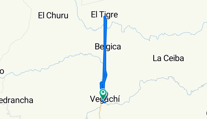 Vegachi - El Tigre