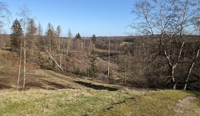 Foto 1 der Bikemap-Route "Brander Wald"