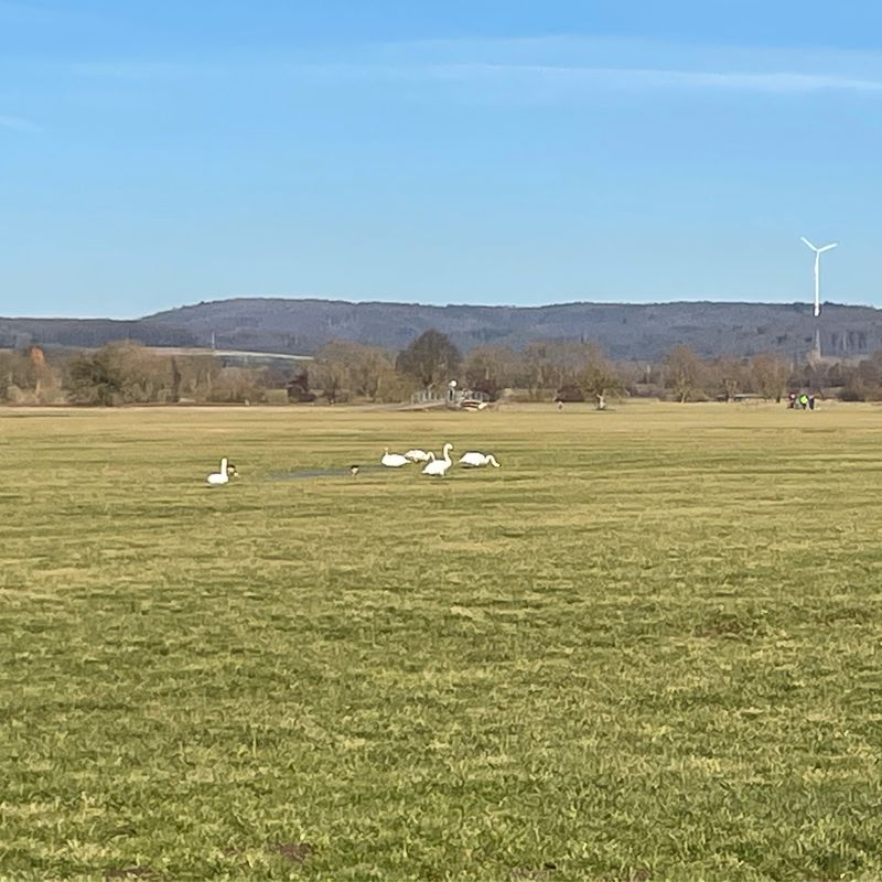 Emsdorfer Straße 6, Kirchhain nach Emsdorfer Straße 4, Kirchhain