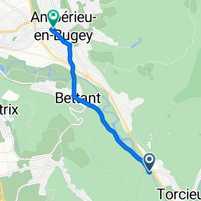 De D1504, Torcieu à 39 Rue Aristide Briand, Ambérieu-en-Bugey