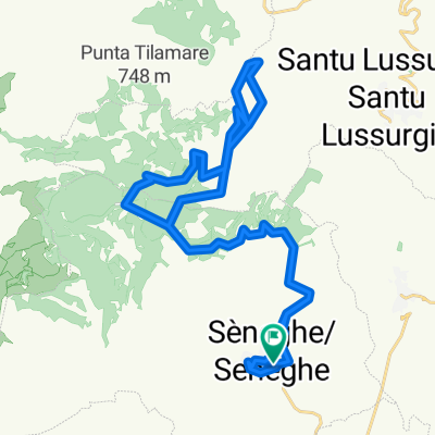 seneghe elighes