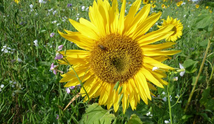 Photo 1 of the Bikemap route "Map - Nov 24 06:11 PM"