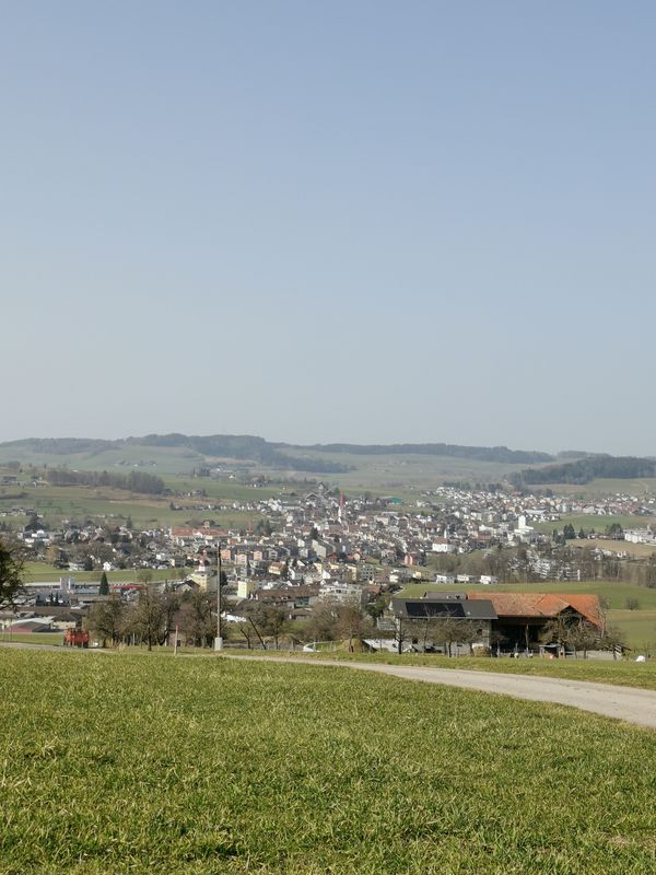 Gerade Fahrt in Römerswil