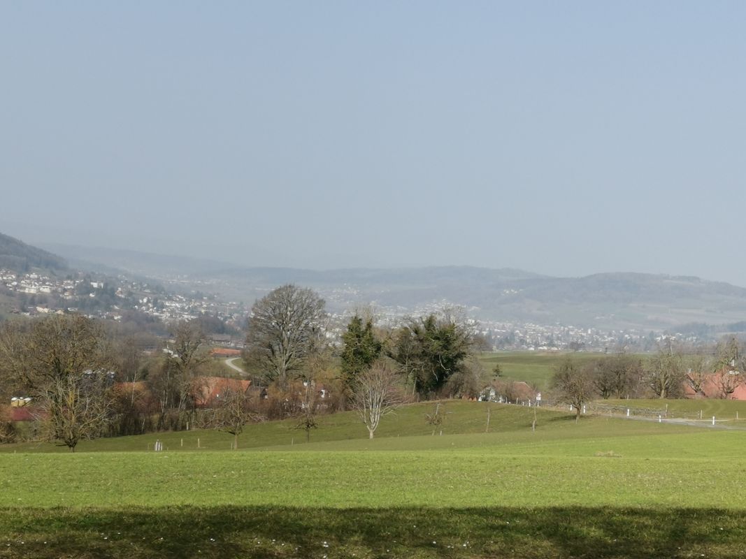 Gerade Fahrt in Römerswil