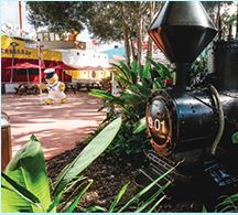 Highlight 20 along the Bikemap route "A1 Things To Do Sunshine Coast Coastal Pathway"