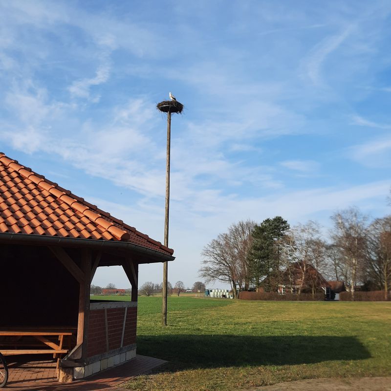 Geschwister-Scholl-Straße 6, Sulingen nach Hindenburgstraße 22A, Sulingen