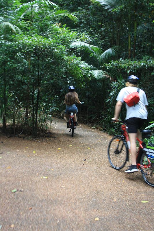 Things To Do Sunshine Coast Top of the Range