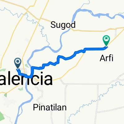 Route to Kapalong-Talaingod-Valencia Road, Valencia City