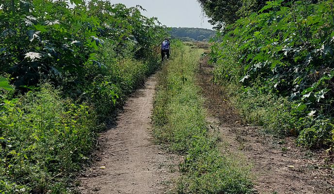 Foto 1 del percorso Bikemap "110.02.28白河木棉花"
