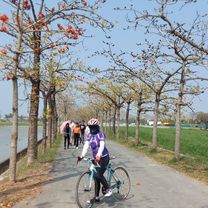 Foto 8 del percorso Bikemap "110.02.28白河木棉花"