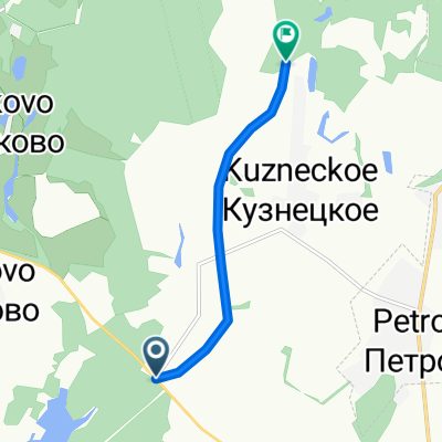 29.01.2011 Лыжная прогулка с другом