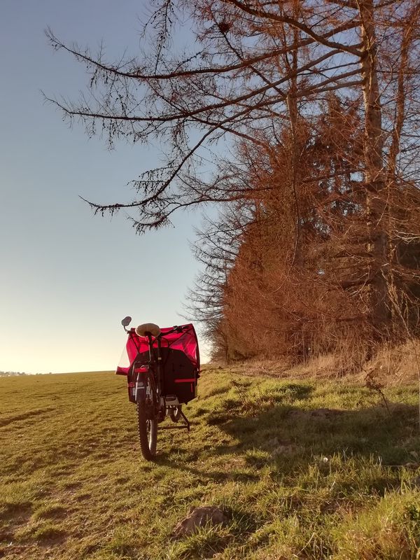 Vom Rollenrasen nach Sprötze rollen