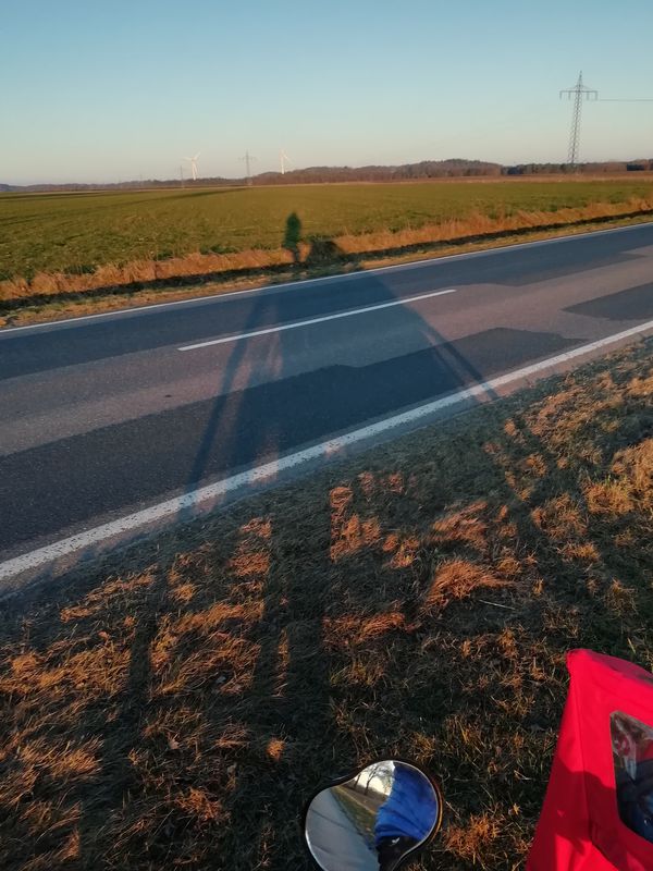 Vom Rollenrasen nach Sprötze rollen