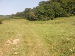 Hebe Bild 8 entlang der Bikemap-Route "MTB Fizes-Padureni-Gherla(don't try this if your not sure about route)" hervor