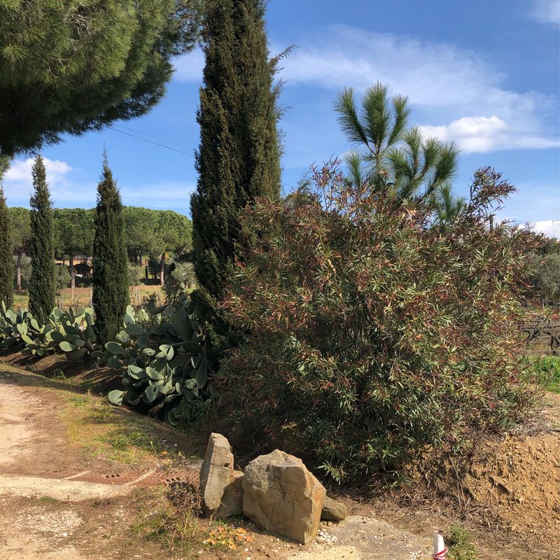 Via Podgora 66, Grosseto nach Via Podgora 66, Grosseto