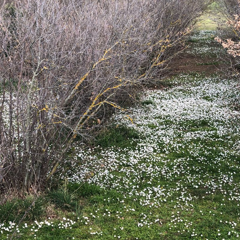 Via Podgora 66, Grosseto nach Via Podgora 66, Grosseto