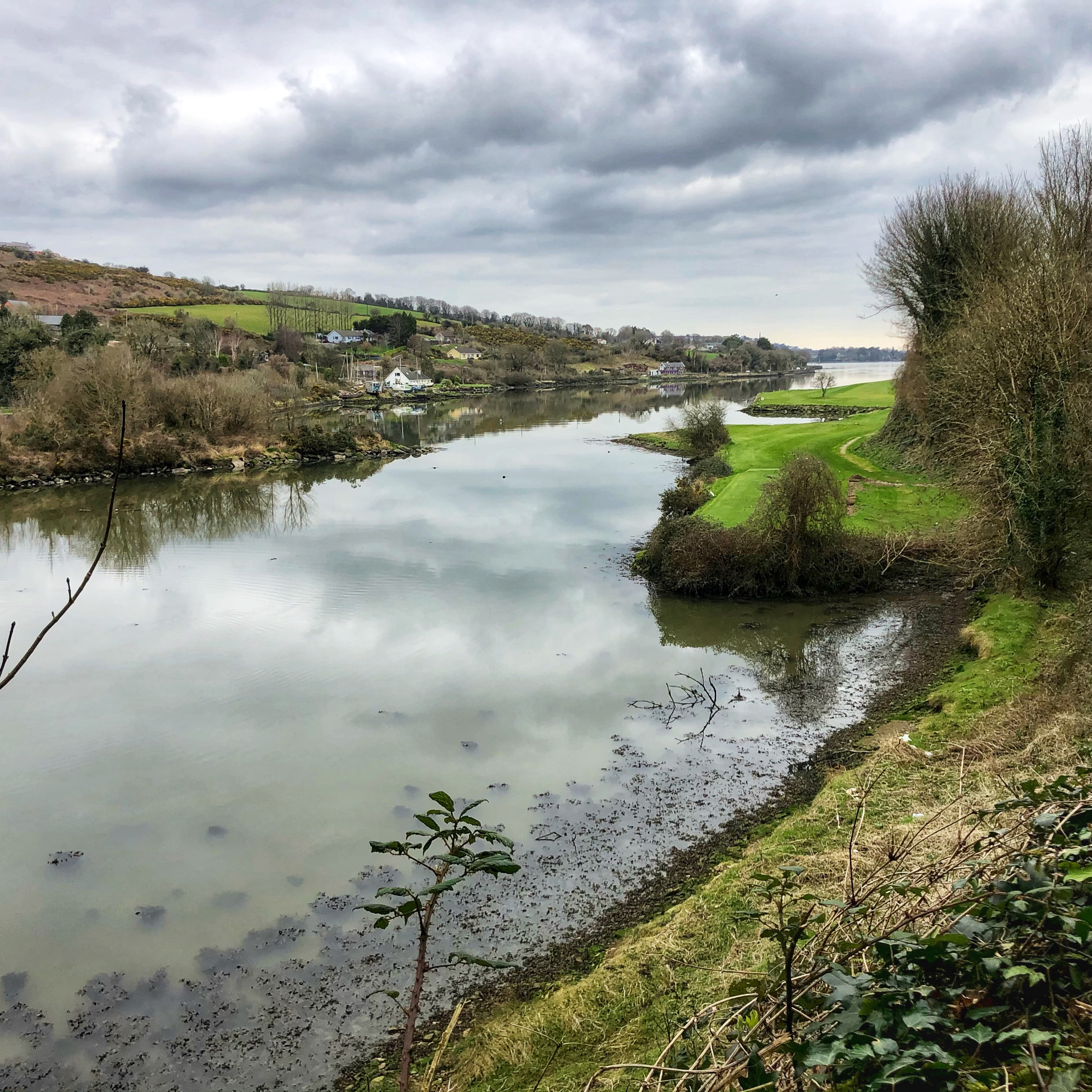 cork harbour via Carrigaline