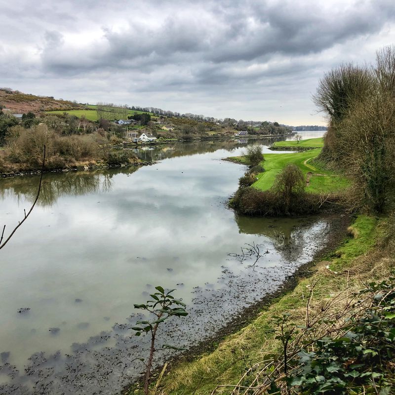 cork harbour via Carrigaline