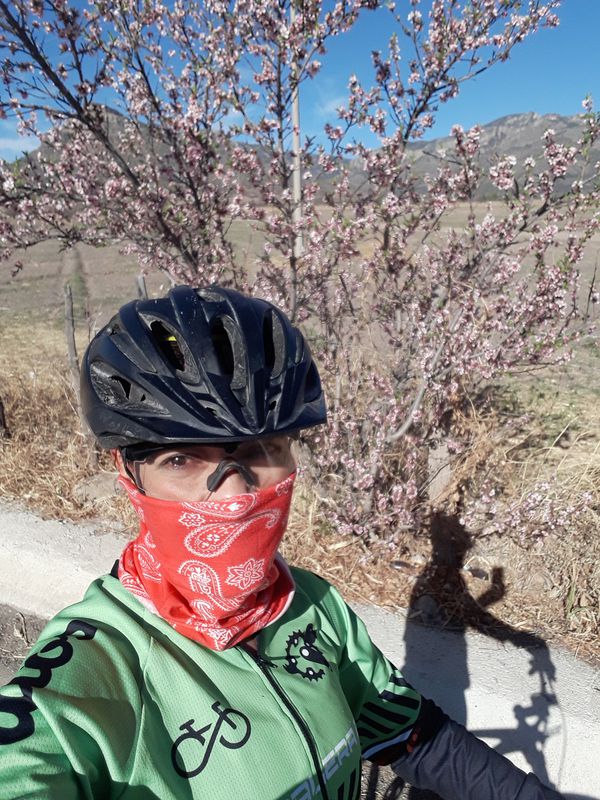 De Isabel La Católica 904, Nuevo Ideal a Isabel La Católica 904, Nuevo Ideal