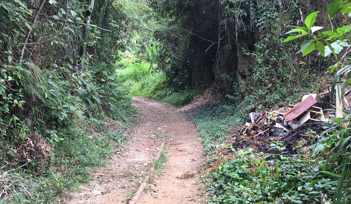 Photo 2 of the Bikemap route "Rota desde Avenida Laurita, 40, Miguel Pereira"
