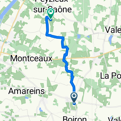 De D75, Francheleins à 247 Route de l'Étang, Peyzieux-sur-Saône